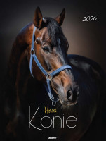 Kalendarz wieloplanszowy mały KSM-5 KONIE Avanti